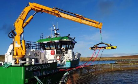 KTC Safety Provide LANTRA Boat & Pier Crane Training Courses in Ireland
